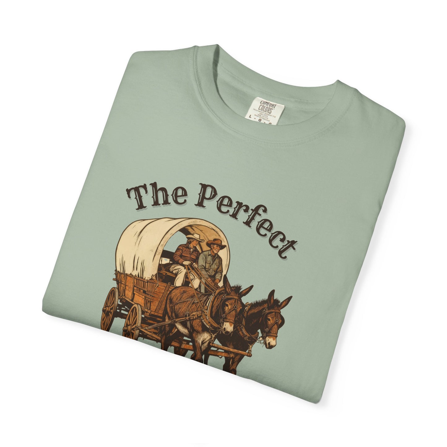 Perfect Sunday Drive Premium T-Shirt