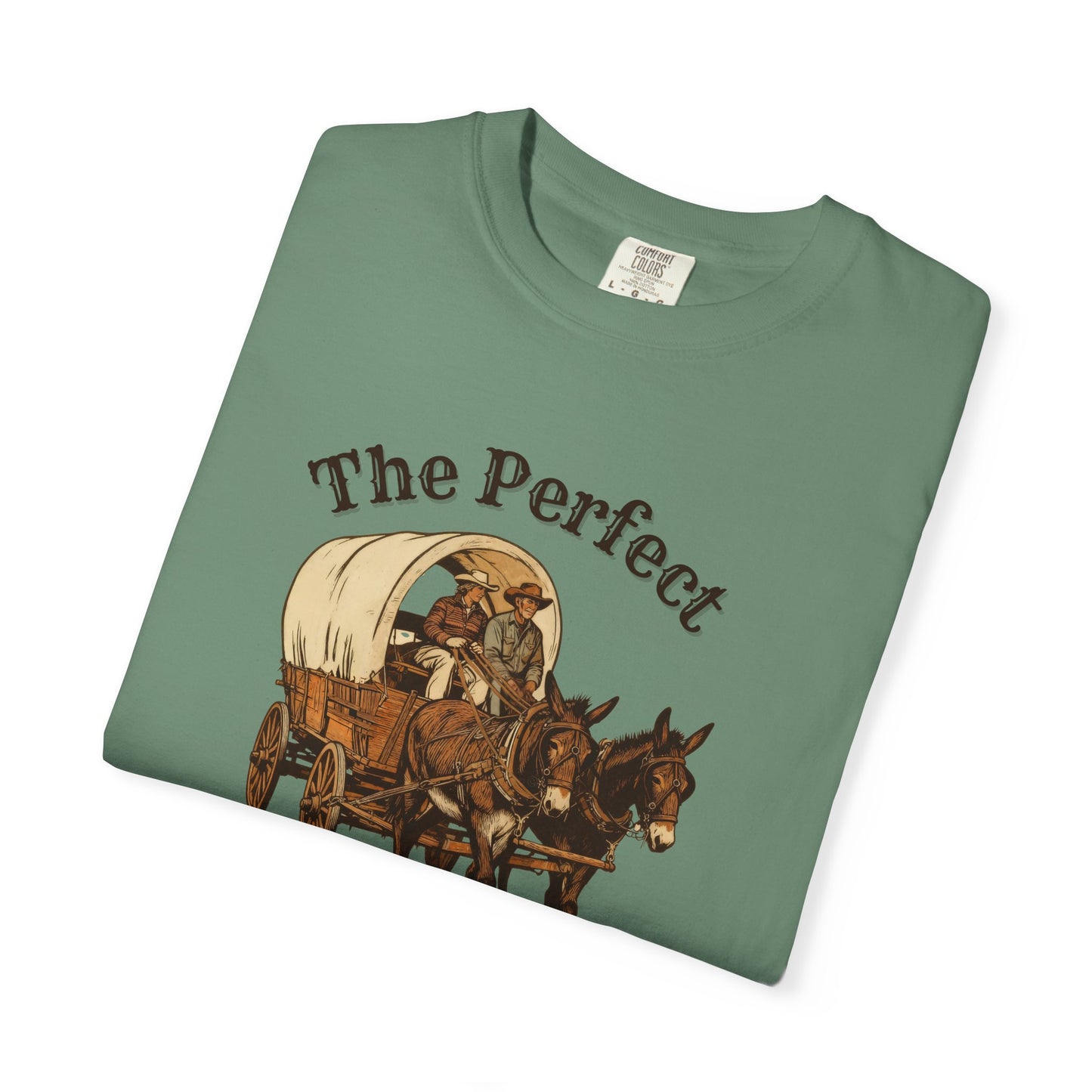 Perfect Sunday Drive Premium T-Shirt
