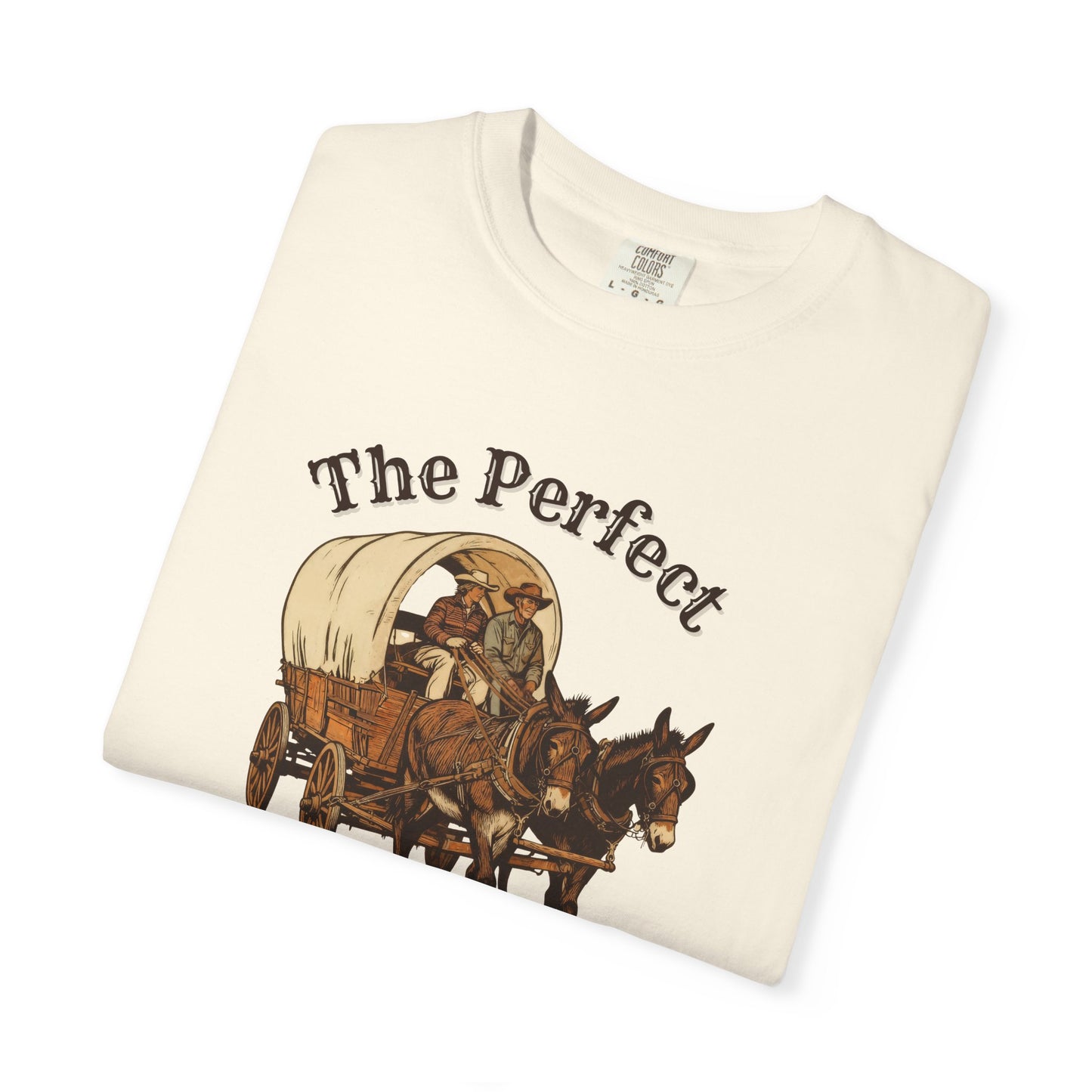 Perfect Sunday Drive Premium T-Shirt