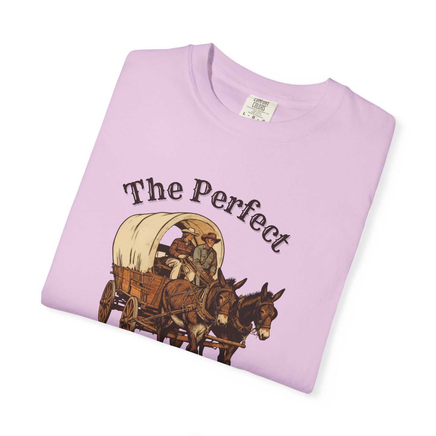 Perfect Sunday Drive Premium T-Shirt