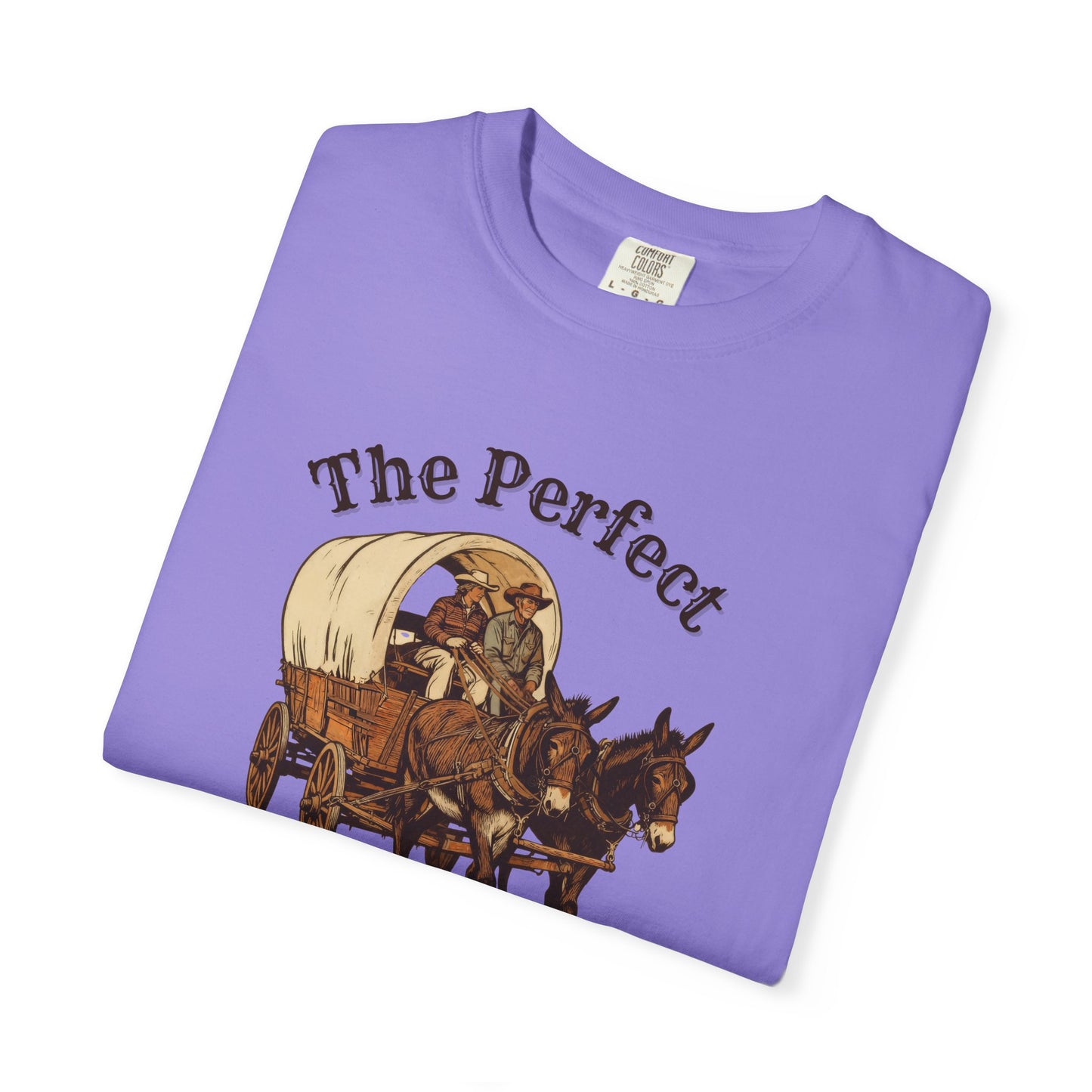 Perfect Sunday Drive Premium T-Shirt
