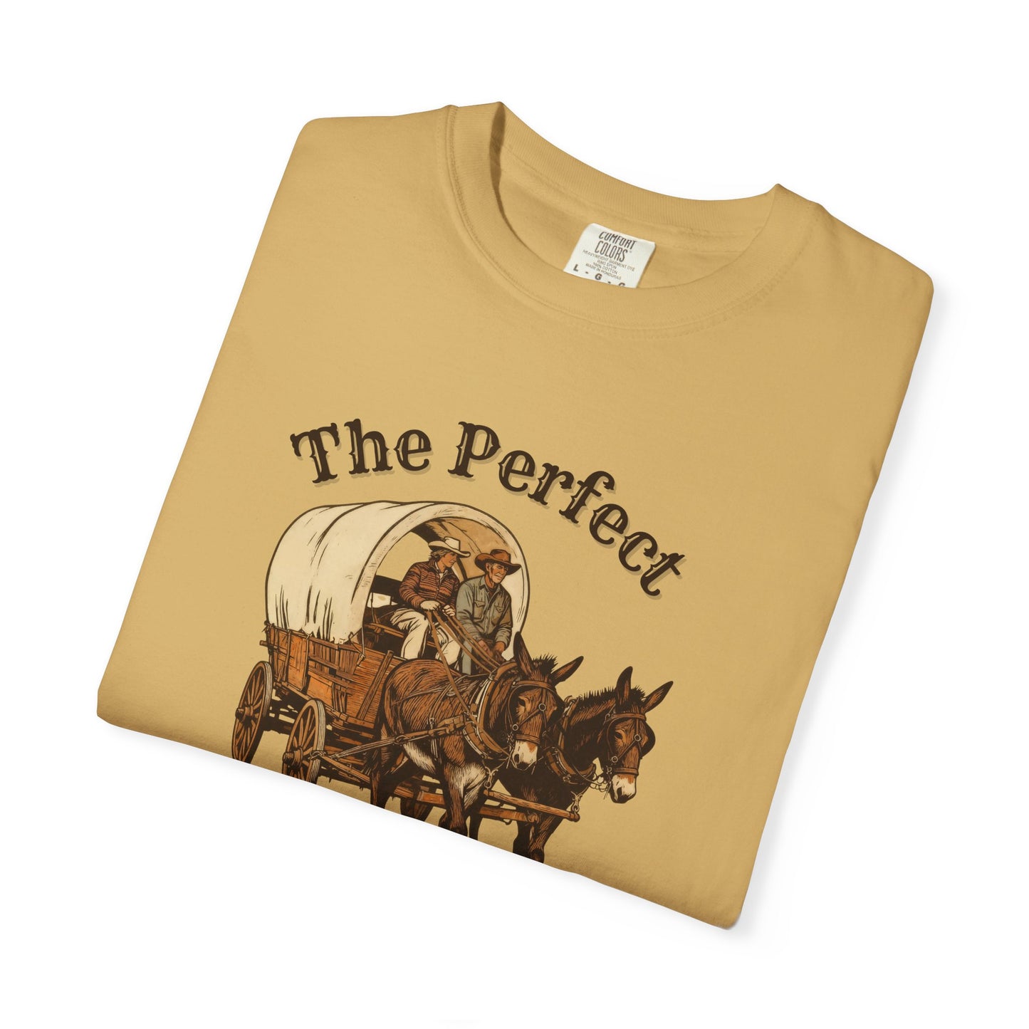 Perfect Sunday Drive Premium T-Shirt