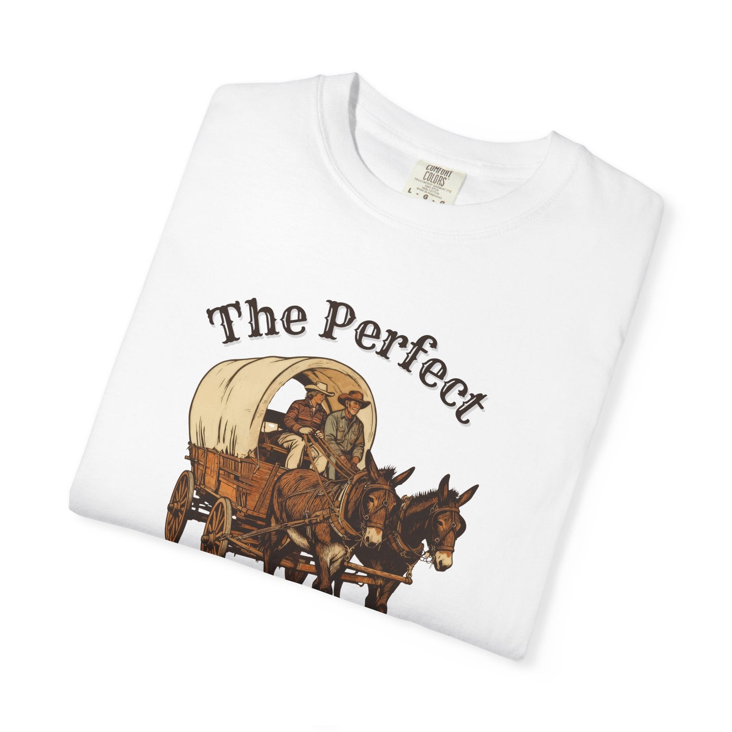 Perfect Sunday Drive Premium T-Shirt