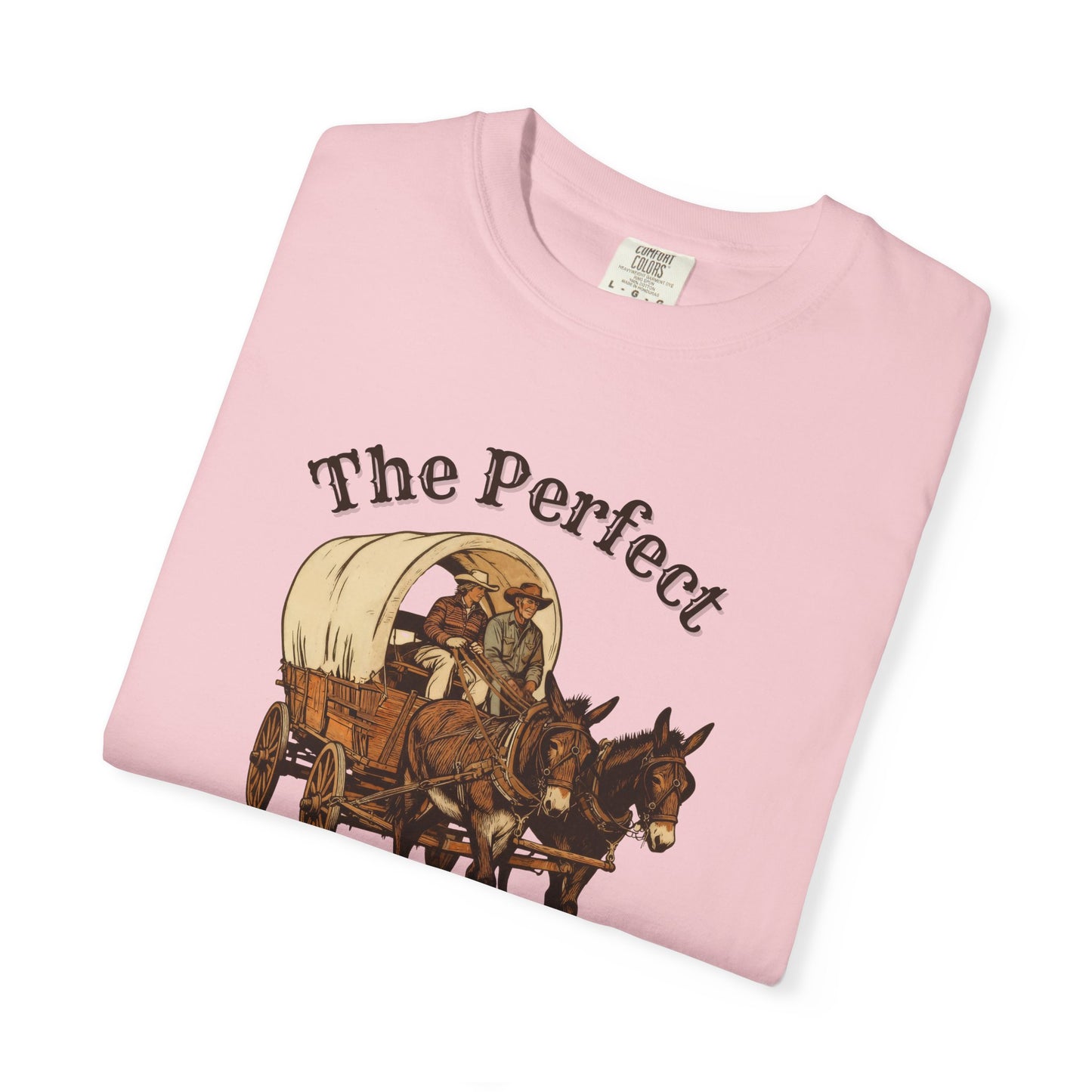 Perfect Sunday Drive Premium T-Shirt