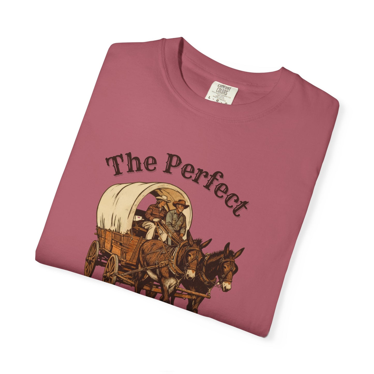 Perfect Sunday Drive Premium T-Shirt