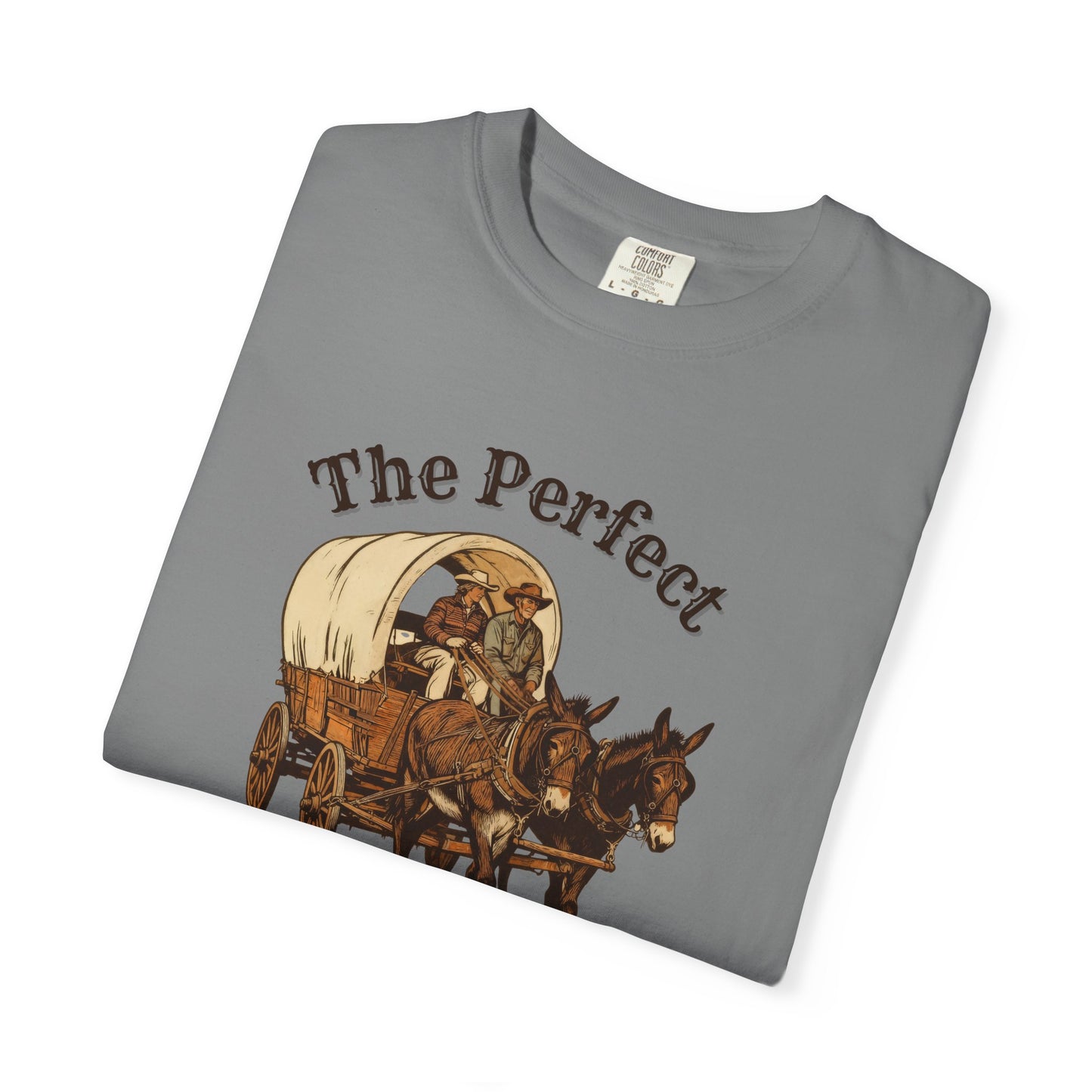 Perfect Sunday Drive Premium T-Shirt