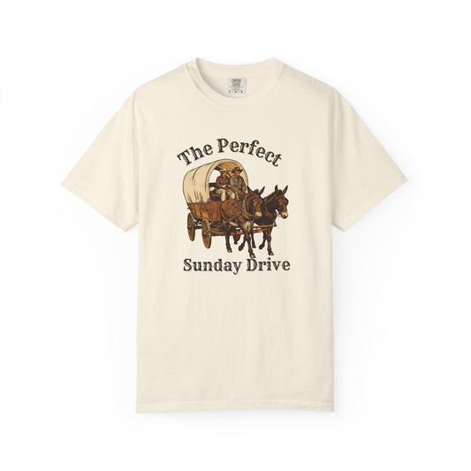 Perfect Sunday Drive Premium T-Shirt