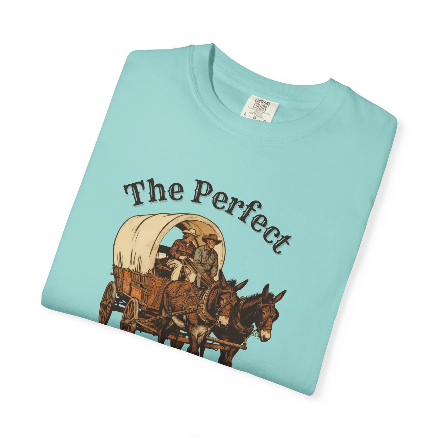 Perfect Sunday Drive Premium T-Shirt