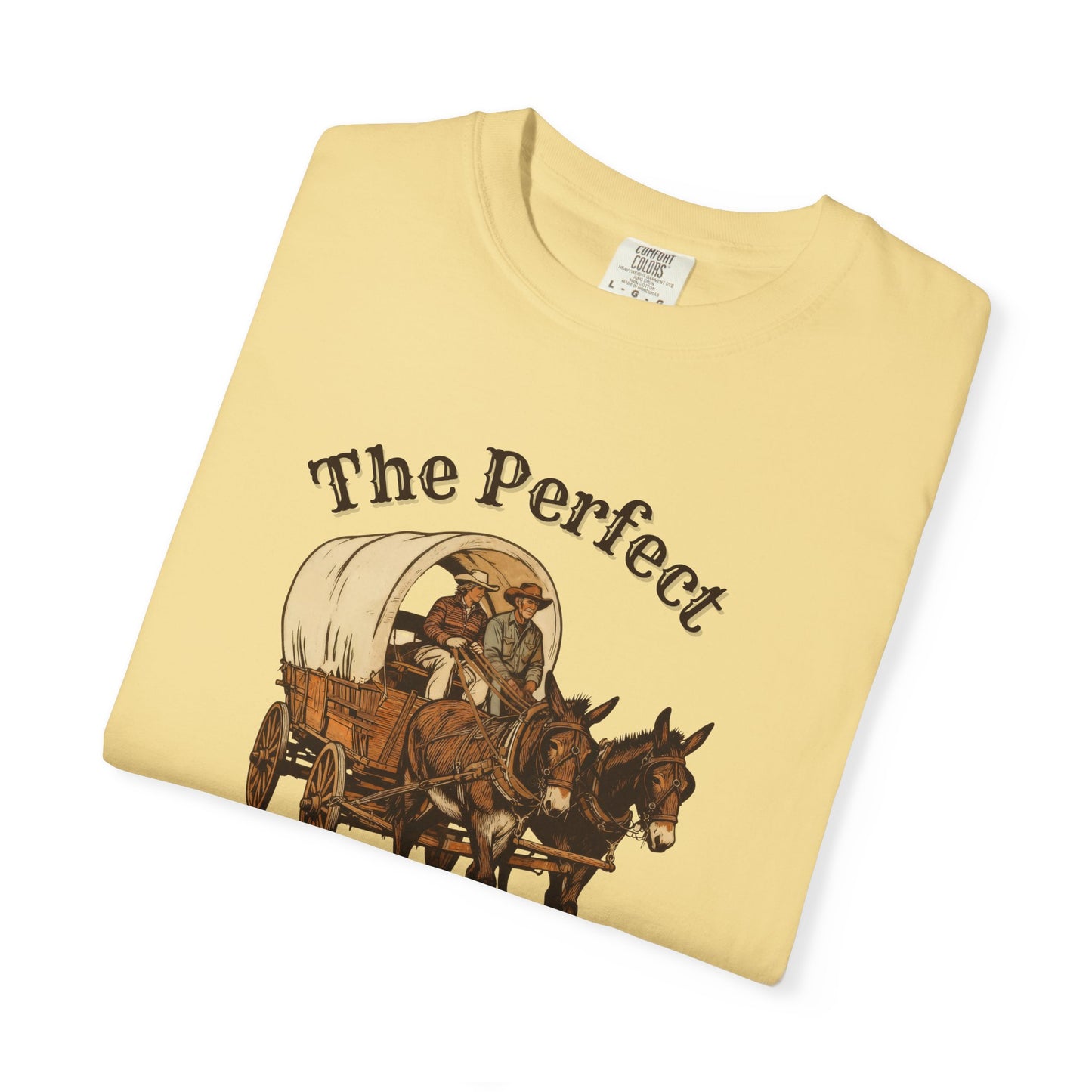 Perfect Sunday Drive Premium T-Shirt