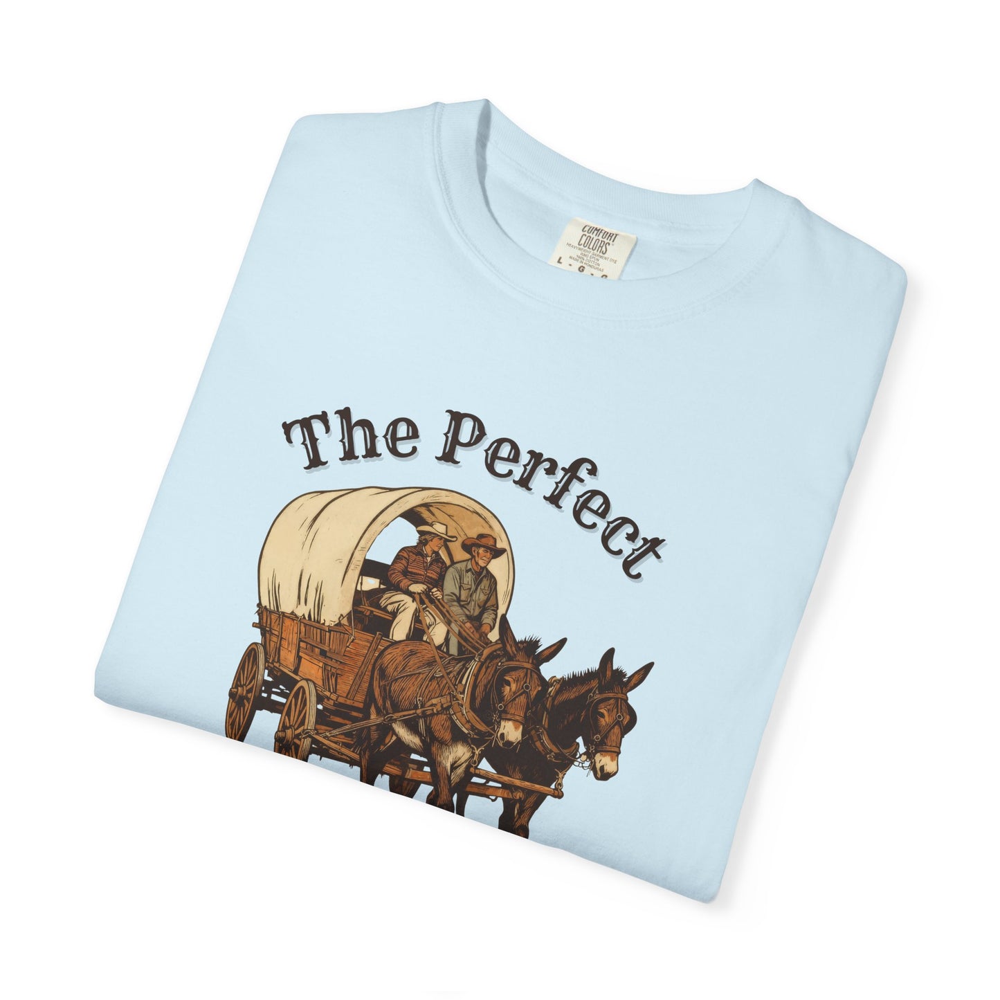 Perfect Sunday Drive Premium T-Shirt