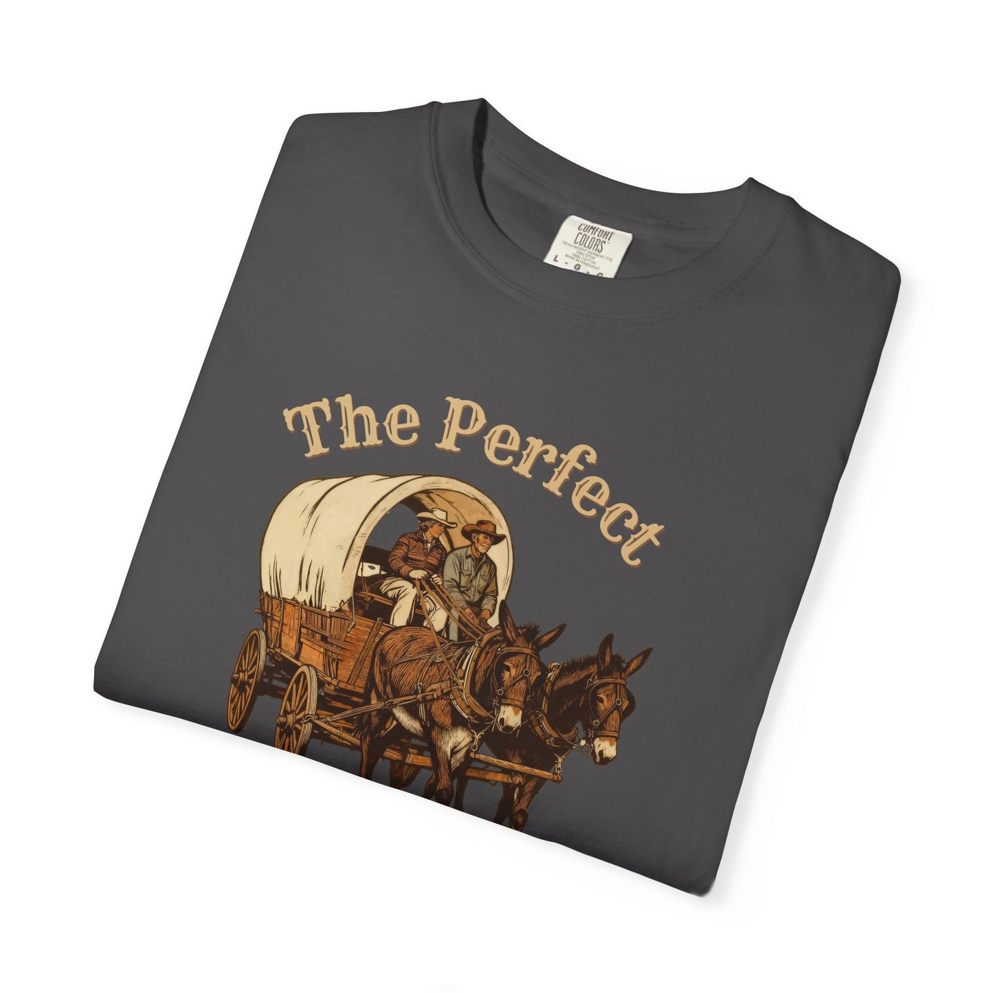 Perfect Sunday Drive Premium T-Shirt Dark