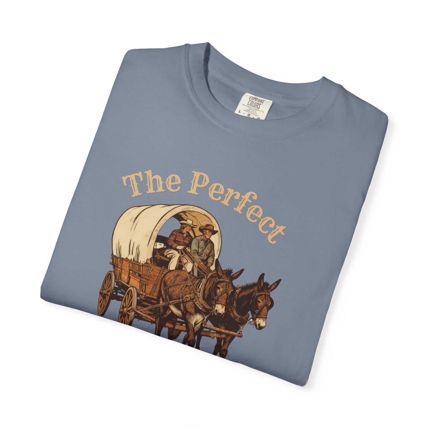 Perfect Sunday Drive Premium T-Shirt Dark