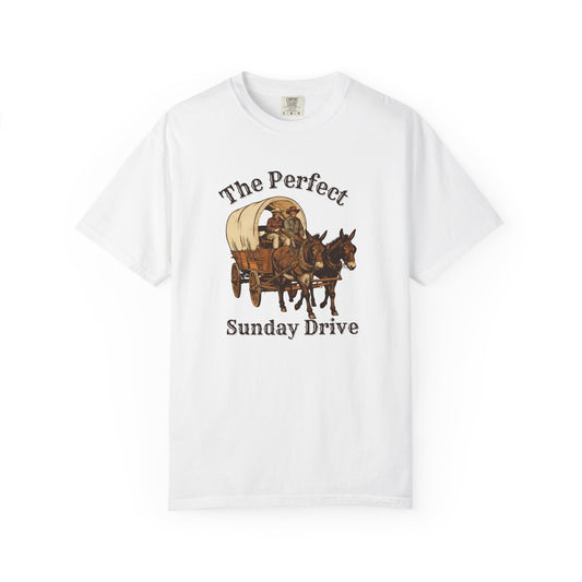 Perfect Sunday Drive Premium T-Shirt