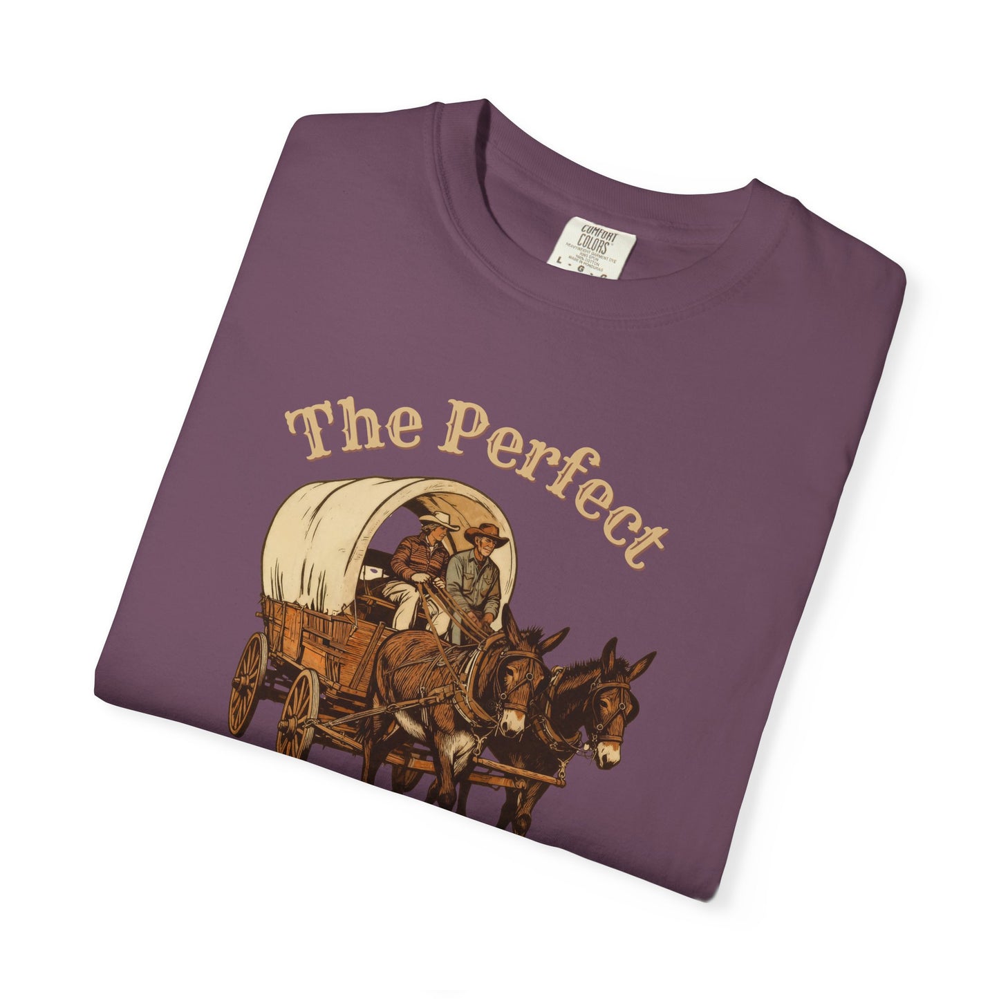Perfect Sunday Drive Premium T-Shirt Dark